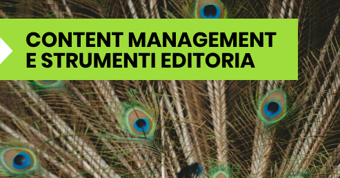 content management e strumenti editoria