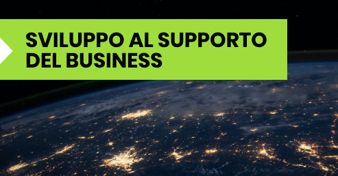 sviluppo al supporto del business